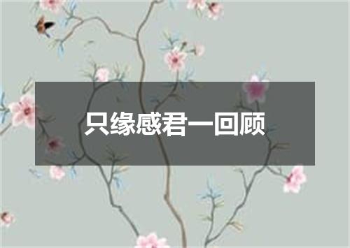 只缘感君一回顾