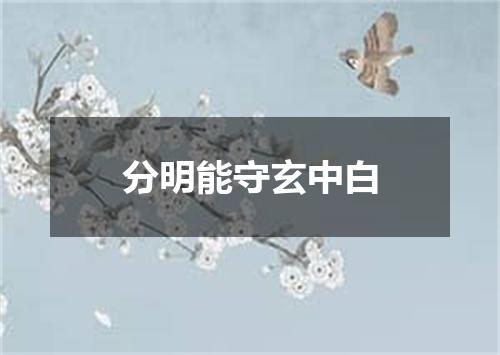 分明能守玄中白