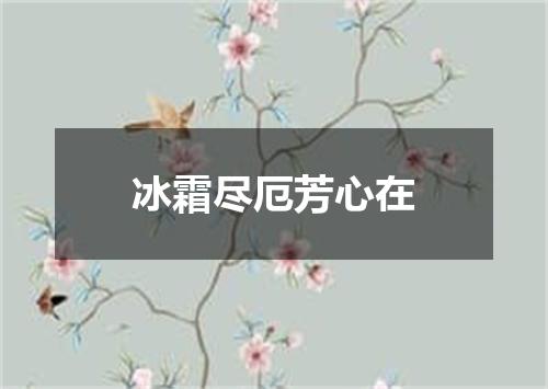 冰霜尽厄芳心在