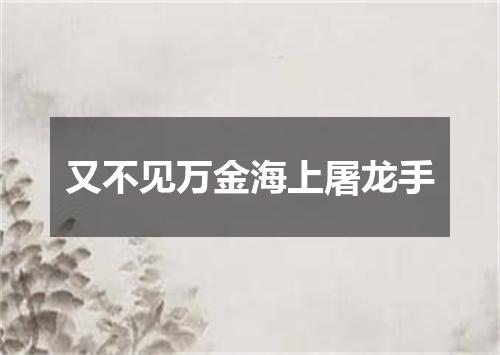 又不见万金海上屠龙手