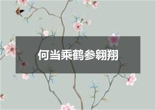 何当乘鹤参翱翔