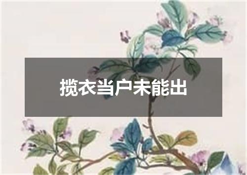 揽衣当户未能出