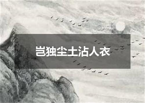 岂独尘土沾人衣