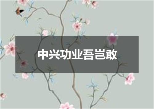 中兴功业吾岂敢