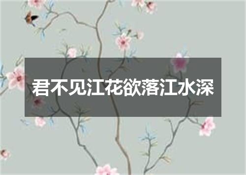 君不见江花欲落江水深