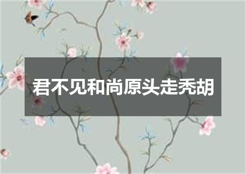 君不见和尚原头走秃胡