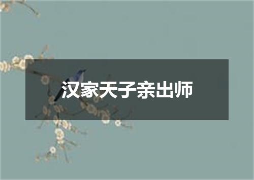 汉家天子亲出师