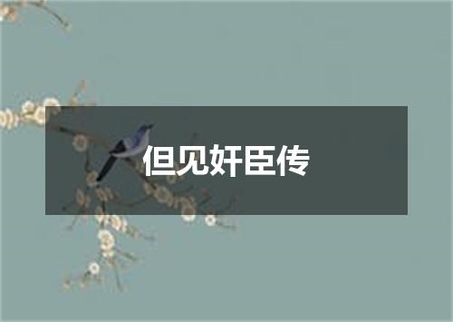 但见奸臣传