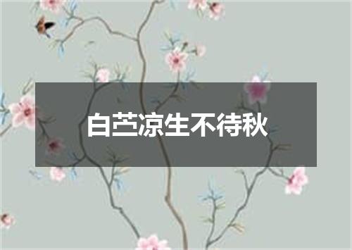 白苎凉生不待秋