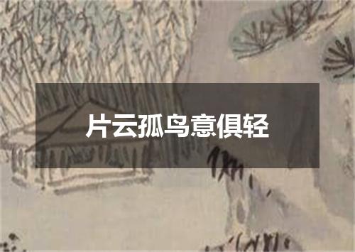 片云孤鸟意俱轻