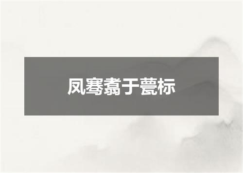 凤骞翥于甍标