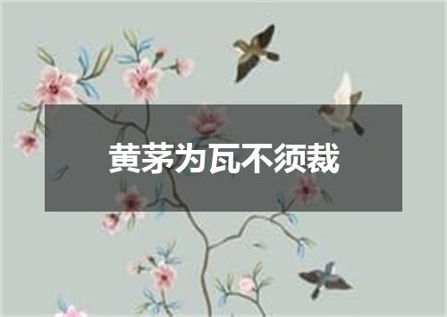 黄茅为瓦不须裁