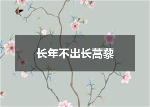 长年不出长蒿藜