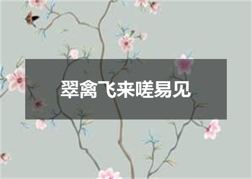 翠禽飞来嗟易见