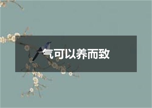 气可以养而致