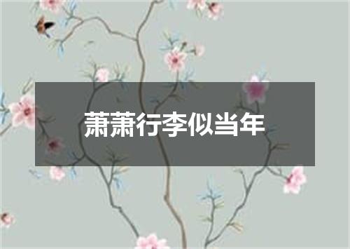 萧萧行李似当年