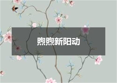 煦煦新阳动