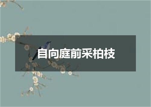 自向庭前采柏枝