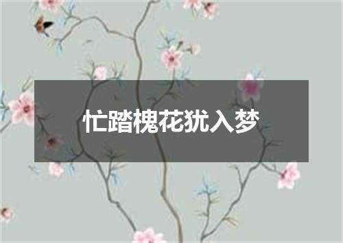 忙踏槐花犹入梦