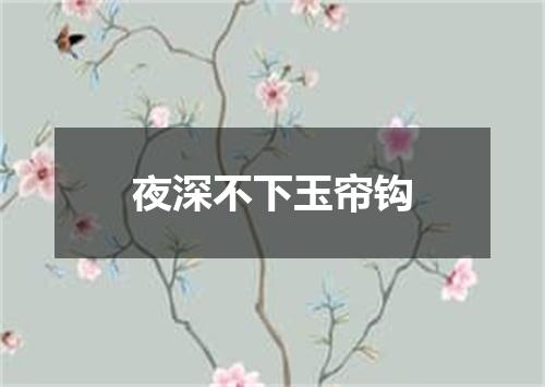 夜深不下玉帘钩