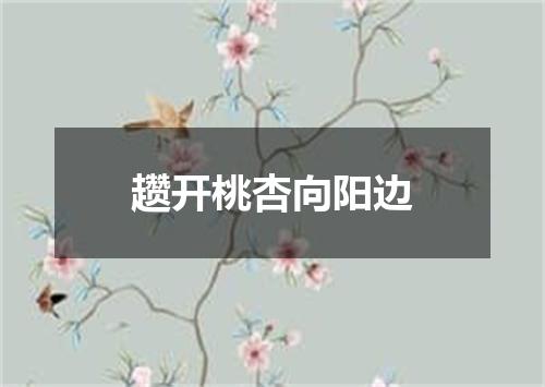 趱开桃杏向阳边