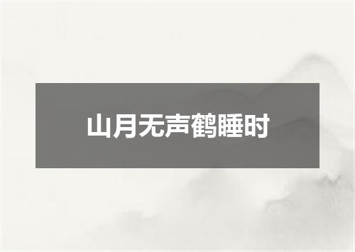 山月无声鹤睡时