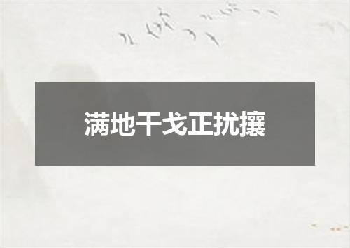 满地干戈正扰攘