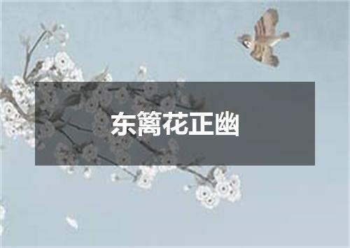 东篱花正幽