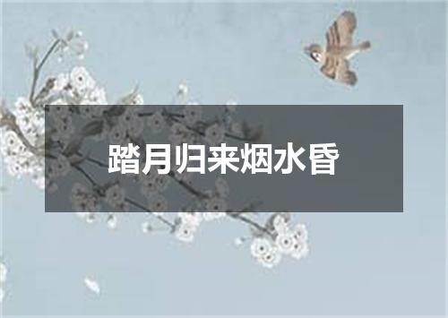 踏月归来烟水昏