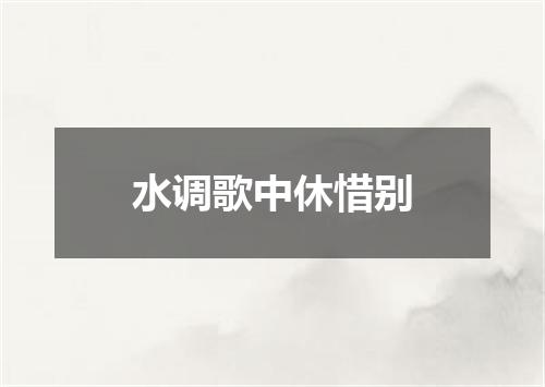 水调歌中休惜别