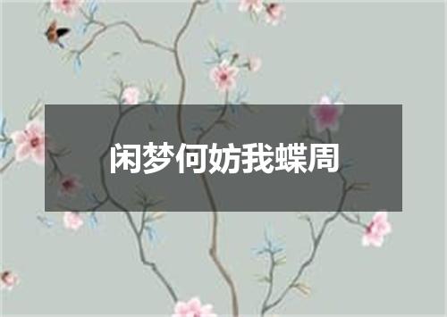 闲梦何妨我蝶周