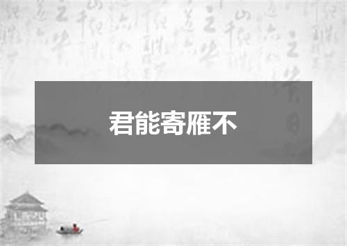 君能寄雁不