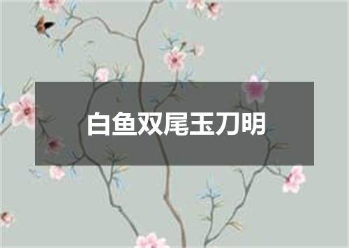 白鱼双尾玉刀明