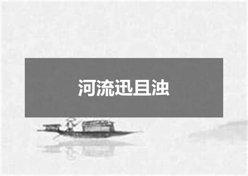 河流迅且浊