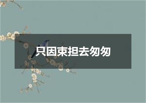 只因束担去匆匆