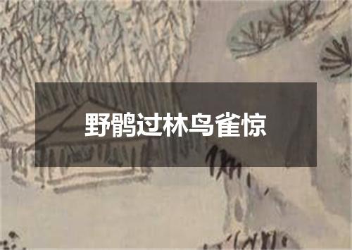 野鹘过林鸟雀惊