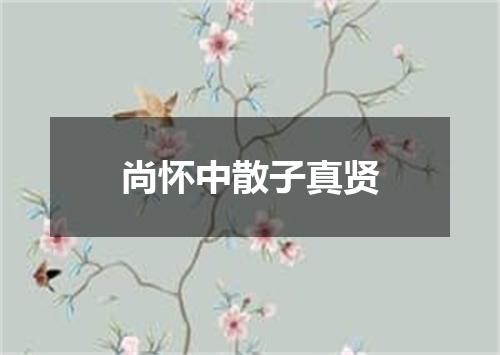 尚怀中散子真贤