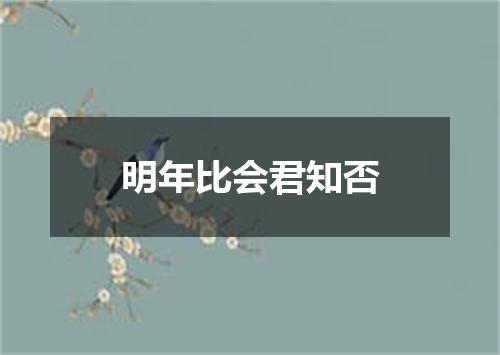 明年比会君知否