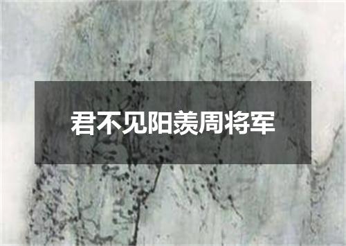 君不见阳羡周将军