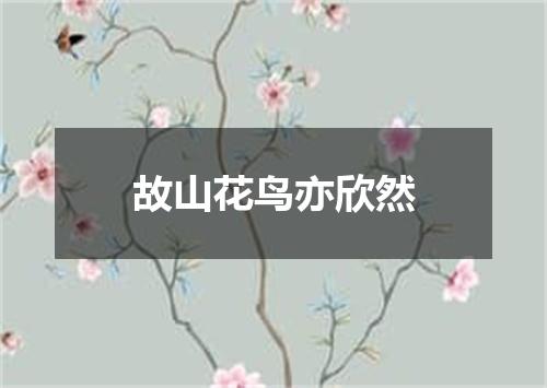 故山花鸟亦欣然