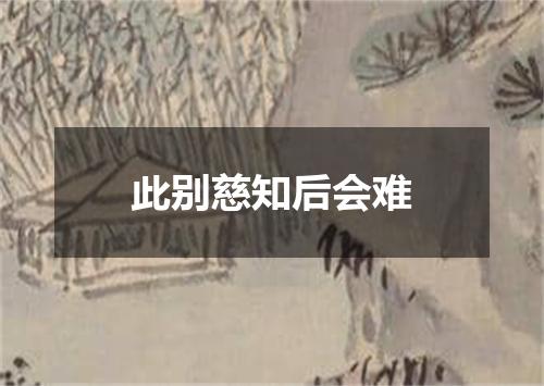 此别慈知后会难