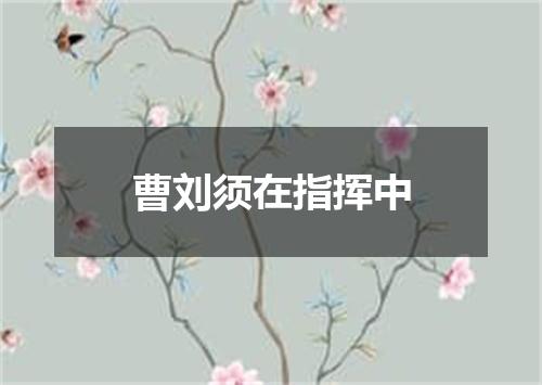 曹刘须在指挥中