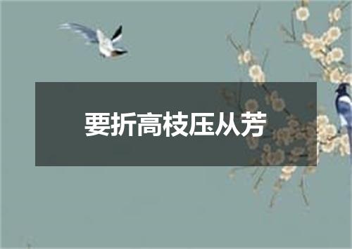 要折高枝压从芳