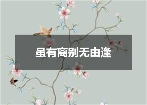 虽有离别无由逢