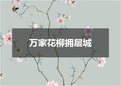 万家花柳拥层城