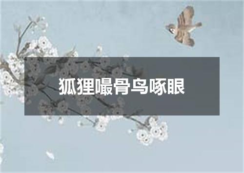 狐狸嘬骨鸟啄眼