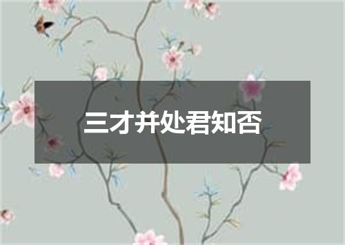 三才并处君知否