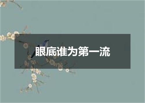 眼底谁为第一流