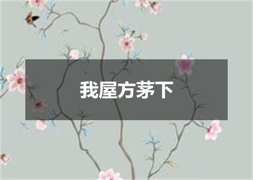 我屋方茅下