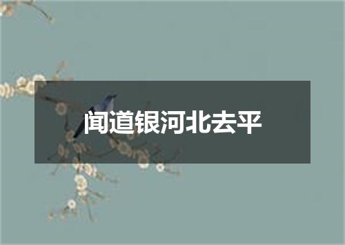 闻道银河北去平